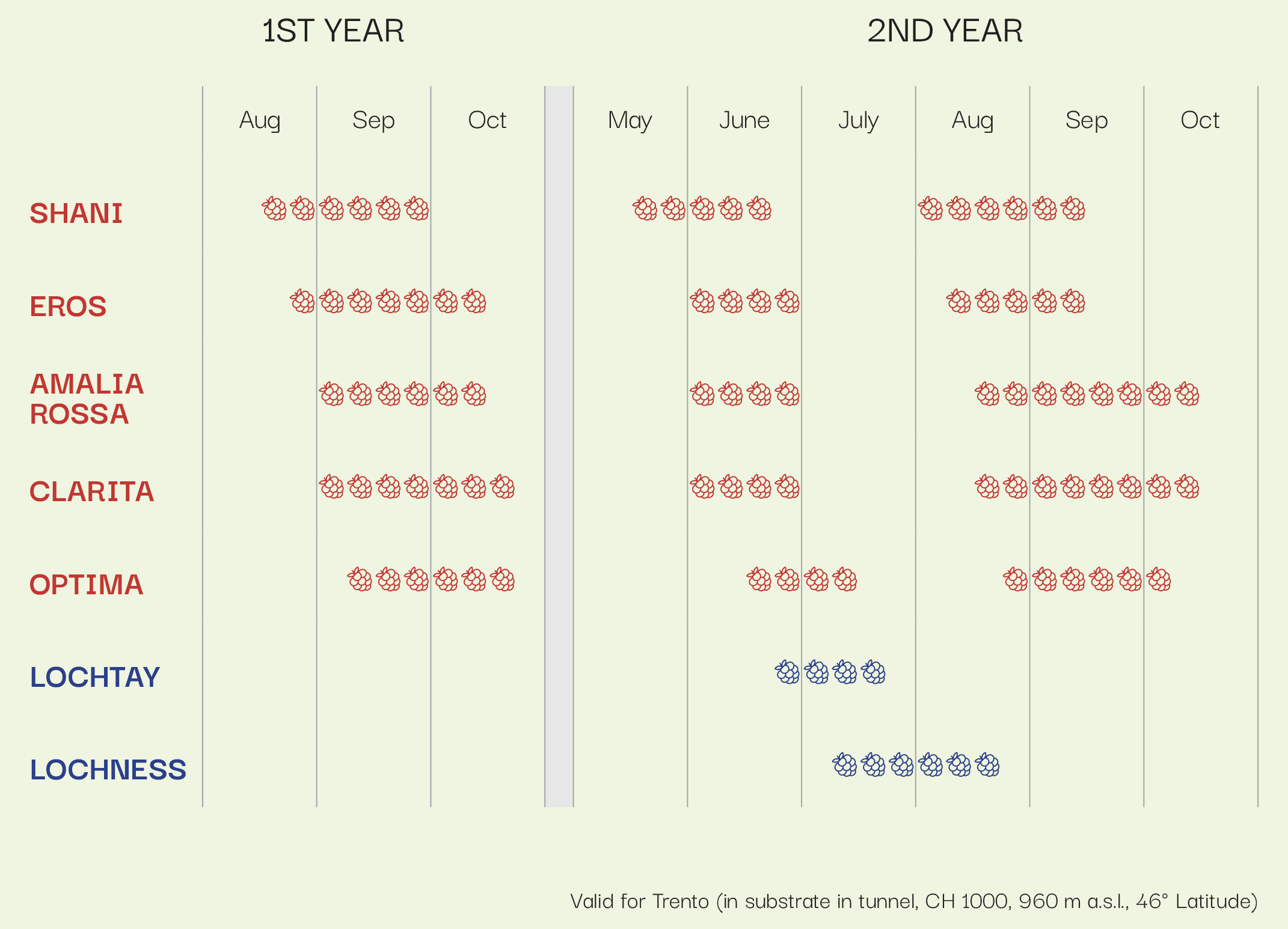 calendario di maturazione more e lamponi